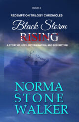 NORMA STONE WALKER Black Storm Rising front